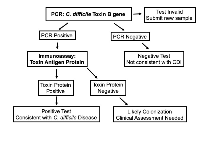 UCSF Clinical Laboratories Test Directory Tests